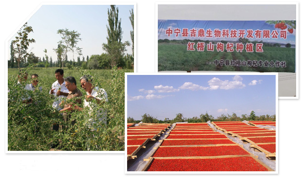 实力雄厚,经验丰富