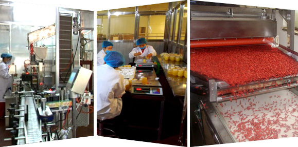 生产直达,严苛质检