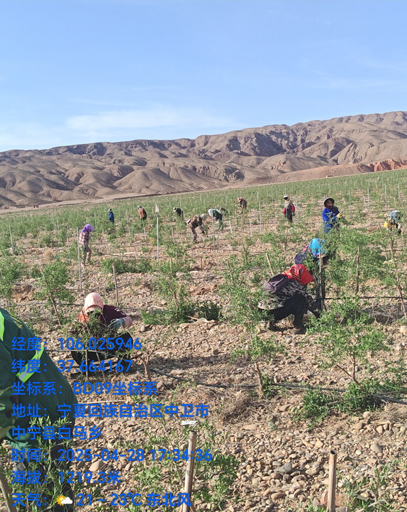 1752217724103713.jpg 7.jpg